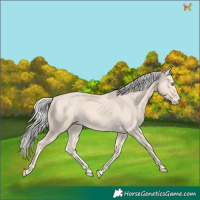 Horse Color:Cremello 