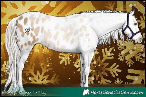 Horse Color:Chocolate Palomino Dun Appaloosa