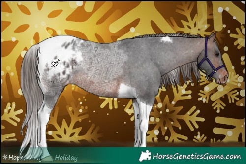 Horse Color:Brown Ice Tobiano Appaloosa Rabicano