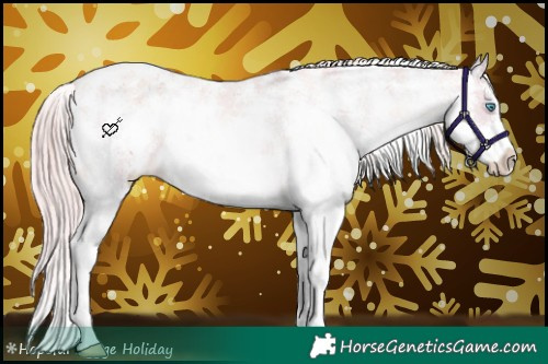 Horse Color:Watercolor Chocolate Palomino Ice Pearl Sabino Appaloosa