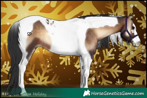 Horse Color:Brown Onyx Tobiano