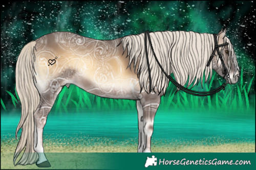 Horse Color:Chocolate Palomino Ice Onyx 