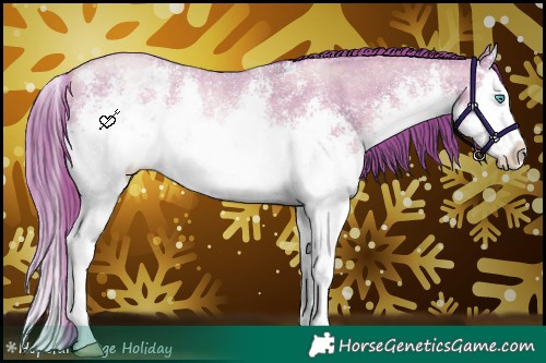 Horse Color:White Spotted Buckskin Pearl Sabino Splash