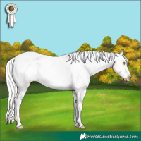 Horse Color:Silver Sable Champagne Roan Dun Tobiano Appaloosa 