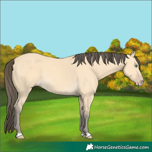 Horse Color:Amber Cream Champagne 