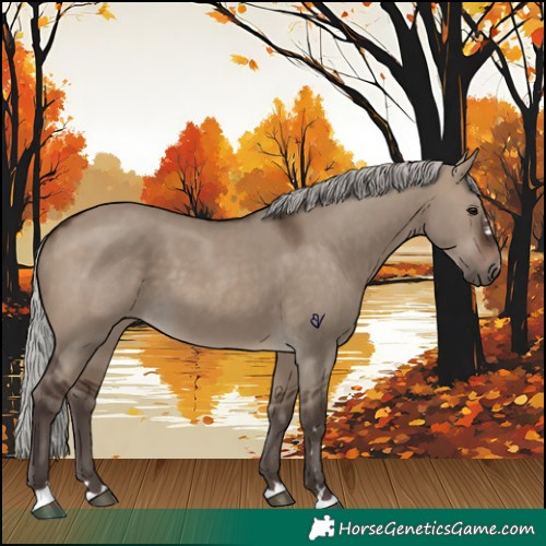 Horse Color:Silver Brown Dun 
