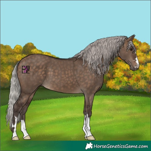 Horse Color:Silver Brown Dun 