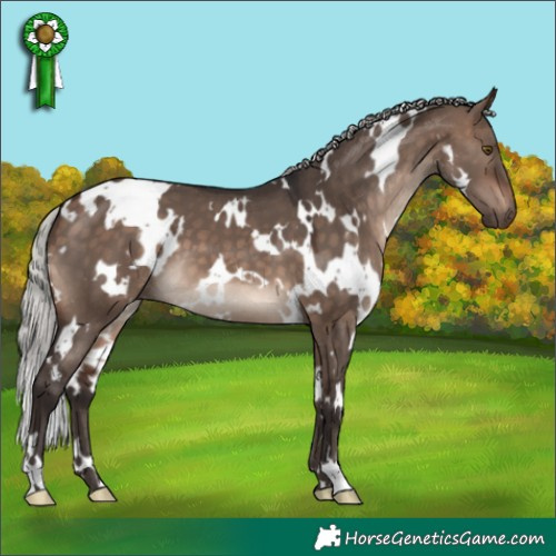Horse Color:White Spotted Silver Brown Dun Mushroom 