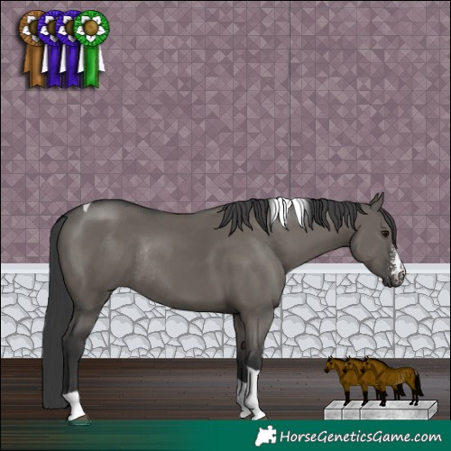 Horse Color:Grullo Sabino Tobiano Rabicano 