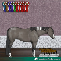 Horse Color:Grullo Sabino Tobiano Rabicano 