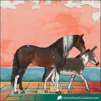 Horse Color:Bay Tobiano Frame 