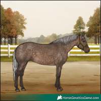 Horse Color:Silver Brown Dun