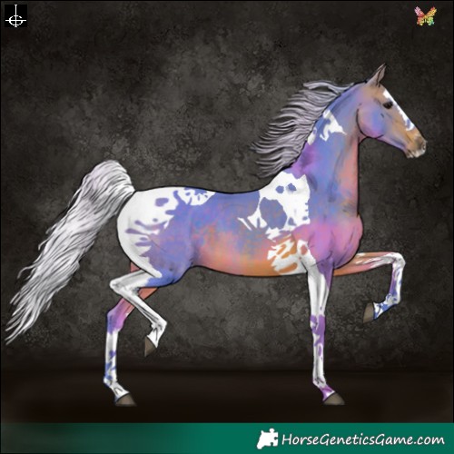Horse Color:Watercolor Silver Brown Splash Tobiano 