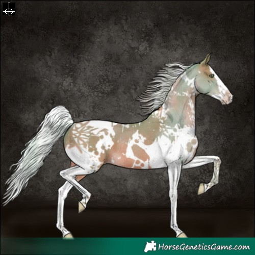 Horse Color:Watercolor White Spotted Silver Sable Champagne Splash Tobiano Rabicano 