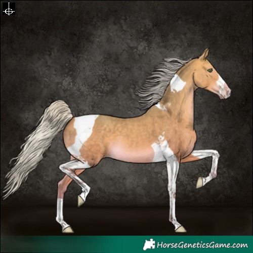Horse Color:Silver Sable Cream Champagne Tobiano 
