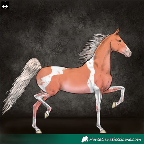 Horse Color:Silver Amber Champagne Tobiano 