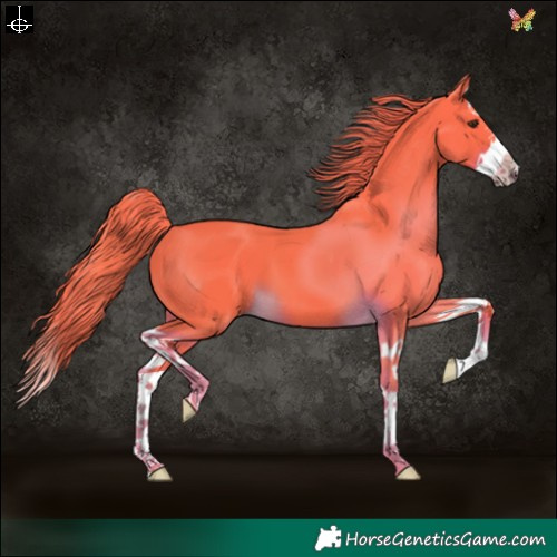 Horse Color:Watercolor Liver Chestnut Splash 