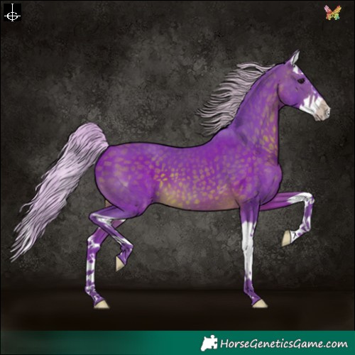 Horse Color:Watercolor Silver Brown Splash 