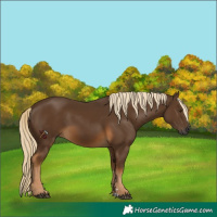 Horse Color:Gray Chocolate Palomino 