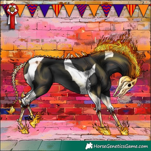 Horse Color:Black Tobiano 