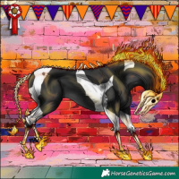 Horse Color:Black Tobiano 