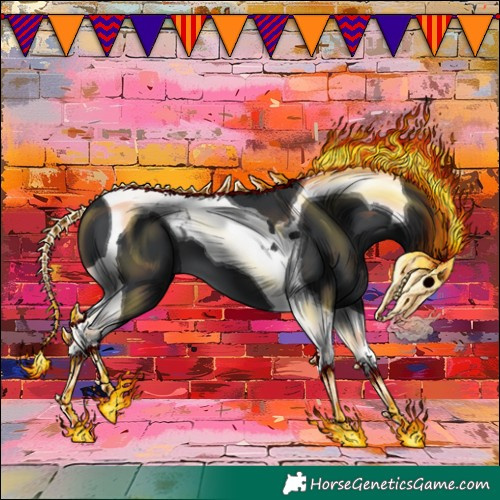 Horse Color:Black Tobiano 