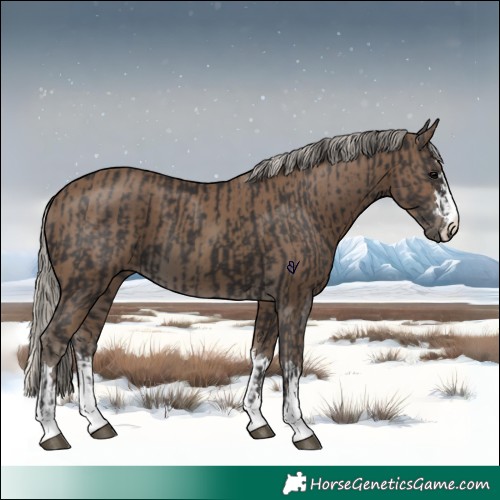Horse Color:Smoky Black  and Silver Smoky Black 