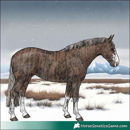 Horse Color:Smoky Black  and Silver Smoky Black 