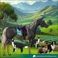 Horse Color:Gray Chocolate Palomino 