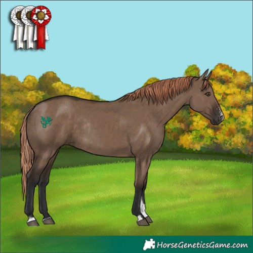Horse Color:Liver Red Dun Sabino Rabicano 