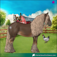 Horse Color:Gray Chocolate Palomino 