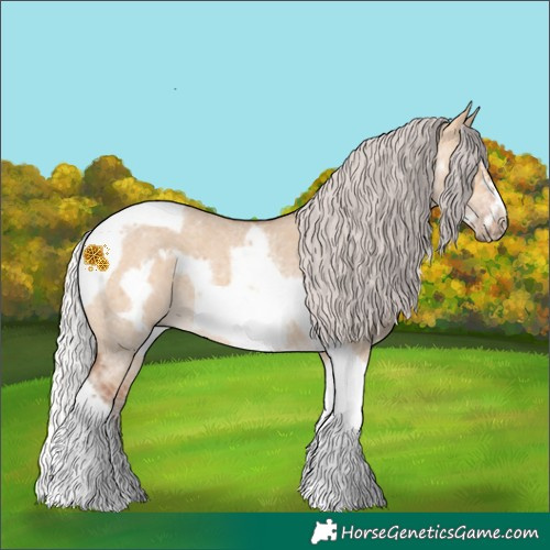 Horse Color:Silver Bay Dun Sabino Tobiano Frame Rabicano 