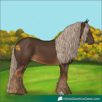 Horse Color:Gray Chocolate Palomino