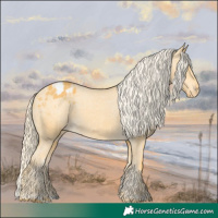Horse Color:Palomino Blanket