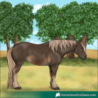 Horse Color:Gray Chocolate Palomino 