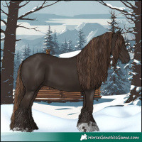 Horse Color:Liver Chestnut and Liver Chestnut