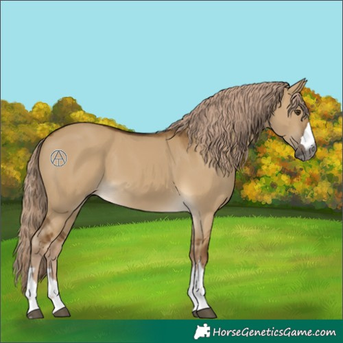 Horse Color:Gray Chocolate Palomino Dun 
