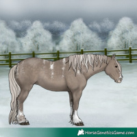 Horse Color:Powder White Silver Grullo Rabicano 
