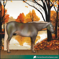 Horse Color:Gray Chocolate Palomino 
