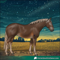 Horse Color:Gray Chocolate Palomino 