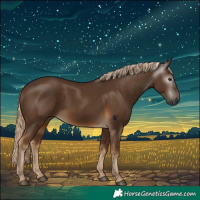 Horse Color:Gray Chocolate Palomino 
