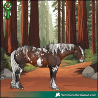 Horse Color:Powder White White Spotted Silver Brown