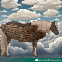Horse Color:Gray Chocolate Palomino