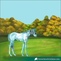 Horse Color:Thunderstruck Midnight Red Onyx Ice Tobiano Frame Snowcap 