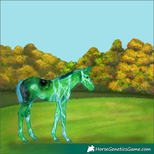 Horse Color:ERROR: UNKNOWN ANOMALY