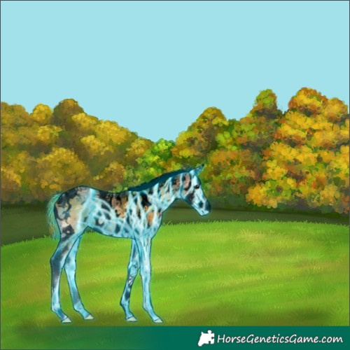 Horse Color:Void Thunderstruck Bay Ice Onyx Tobiano Appaloosa 