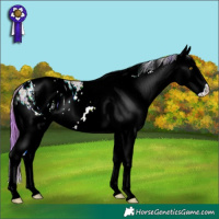 Horse Color:ERROR: UNKNOWN ANOMALY