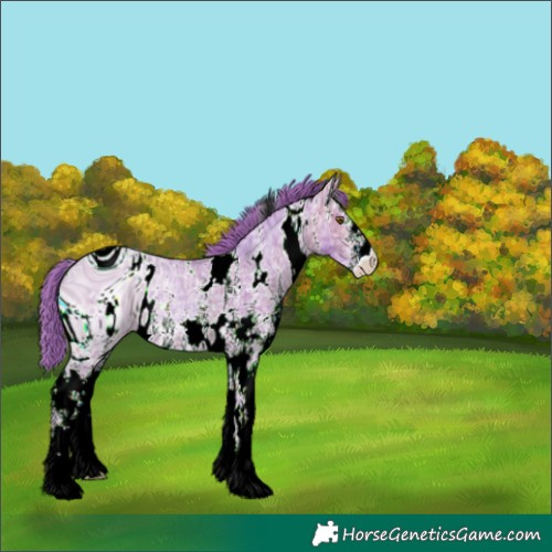 Horse Color:ERROR: UNKNOWN ANOMALY