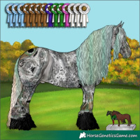 Horse Color:ERROR: UNKNOWN ANOMALY