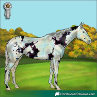 Horse Color:ERROR: UNKNOWN ANOMALY